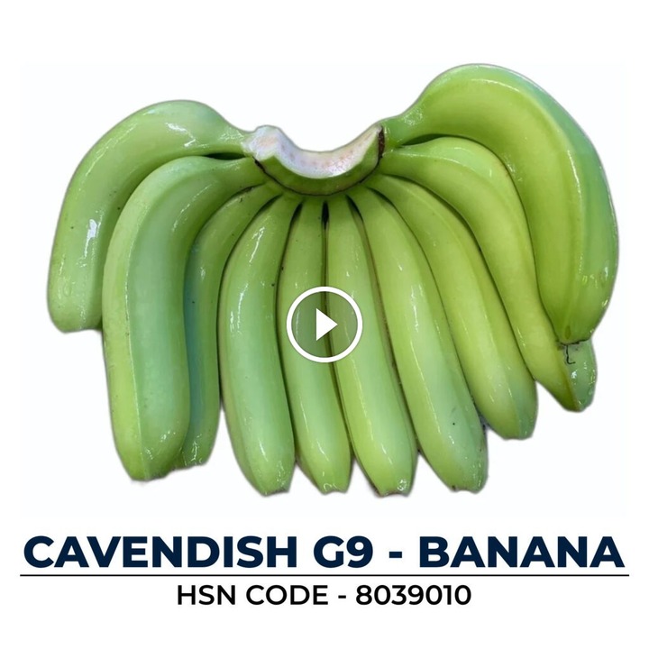Top Banana Exporter in India | Exim Elite Pune