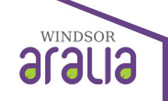 Windsor Aralia