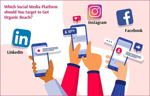 Social Media Management in Noida